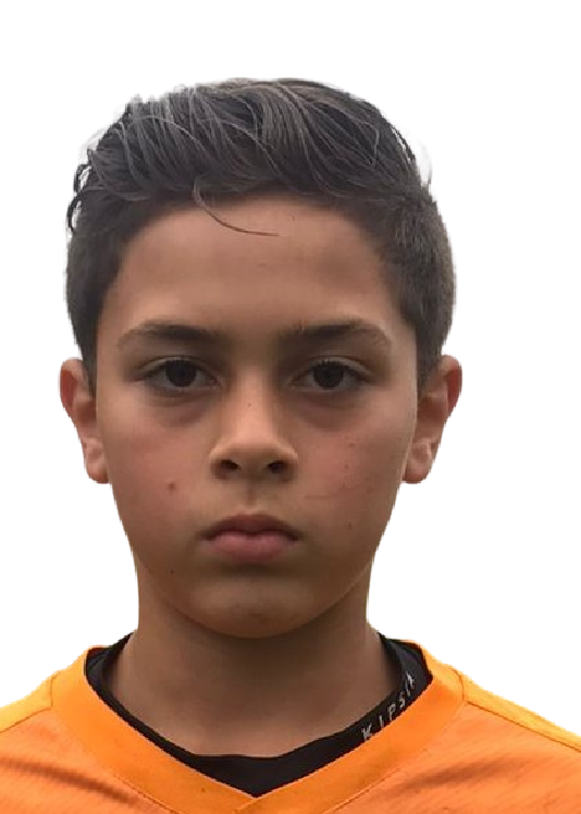 player img