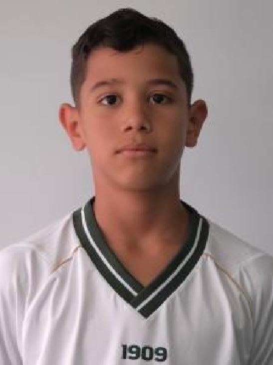 player img