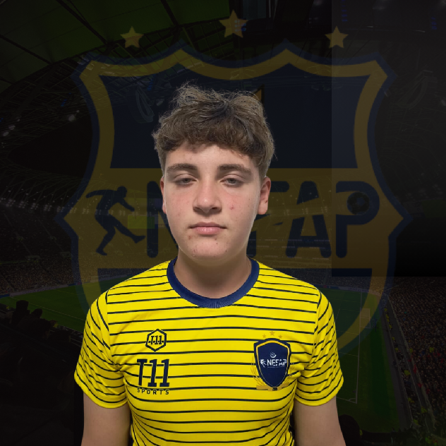 player img