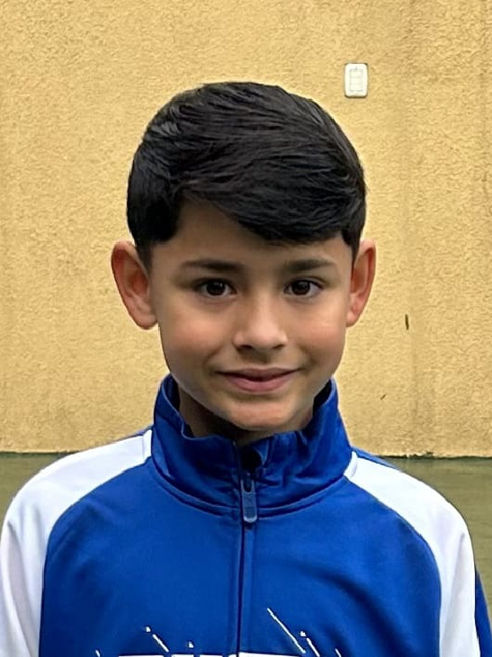 player img