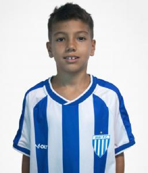 player img