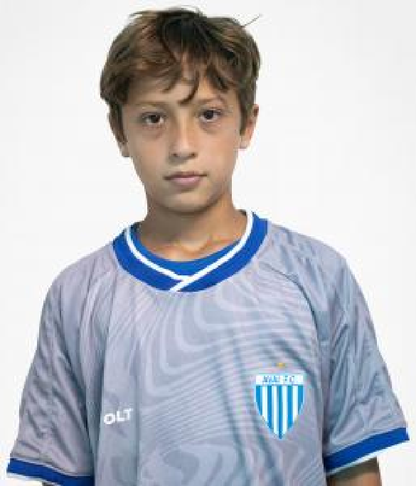 player img