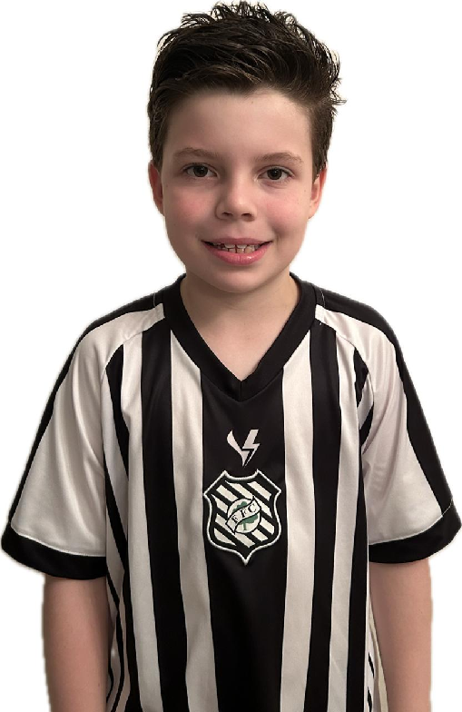 player img
