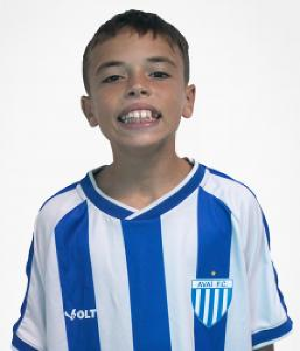 player img