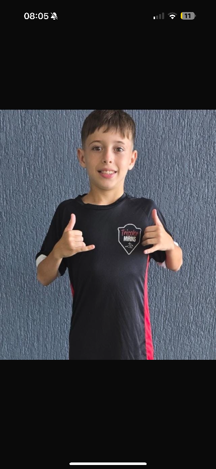 player img