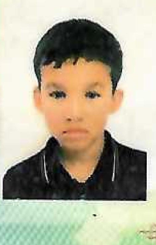 player img
