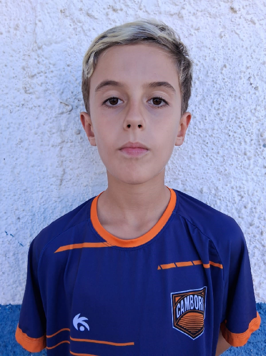 player img