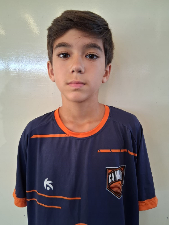 player img