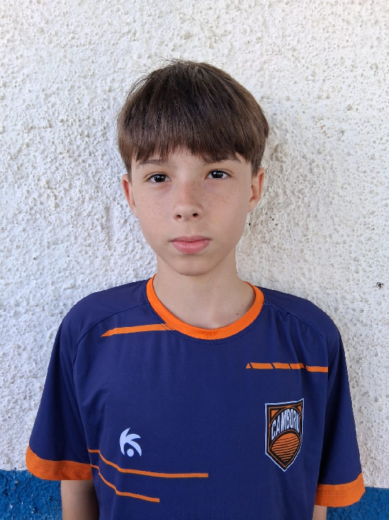 player img