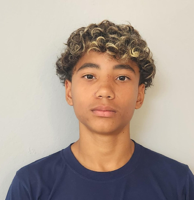 player img
