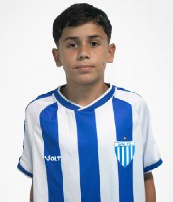 player img