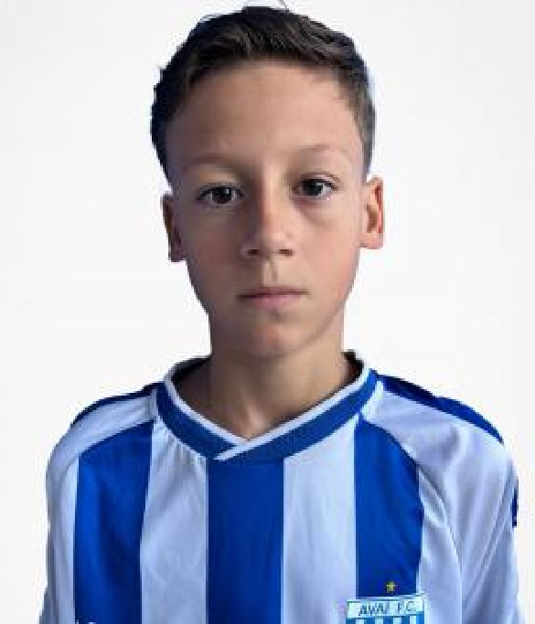 player img
