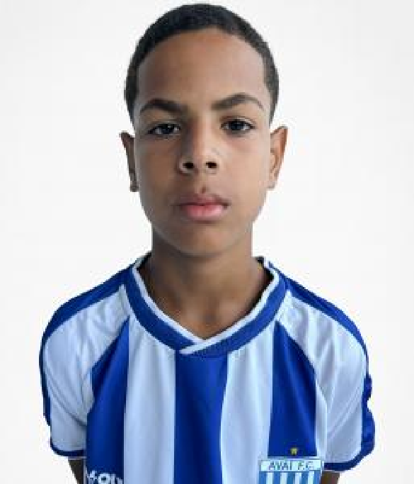 player img