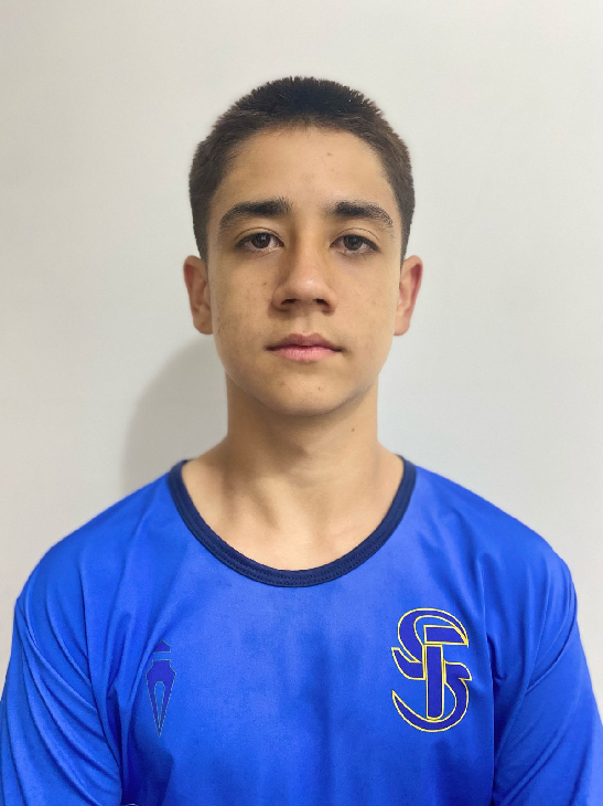 player img