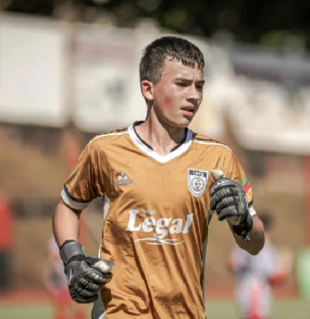 player img