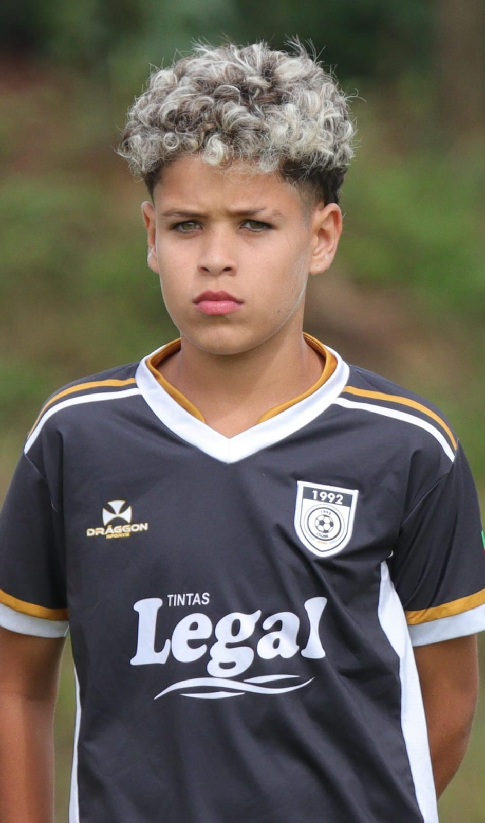 player img