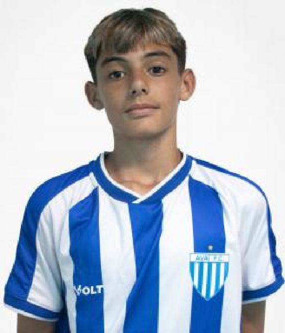 player img