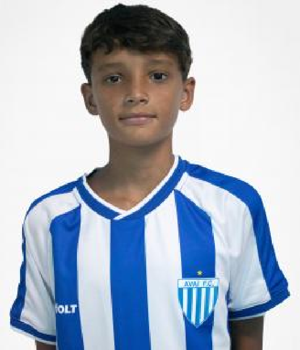 player img