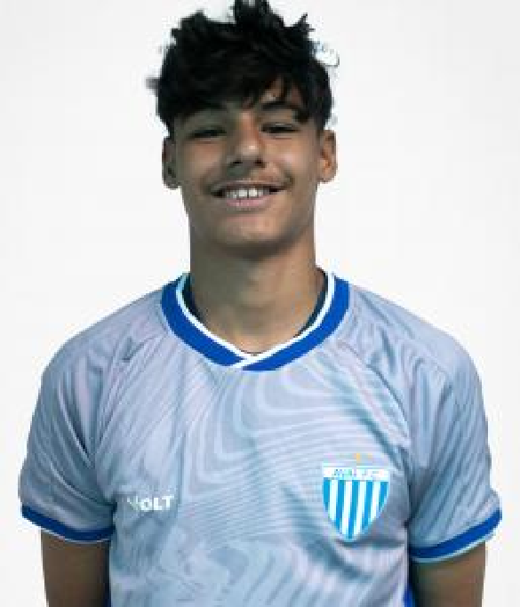 player img