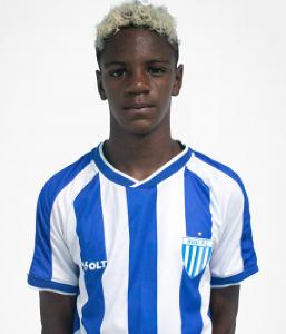 player img
