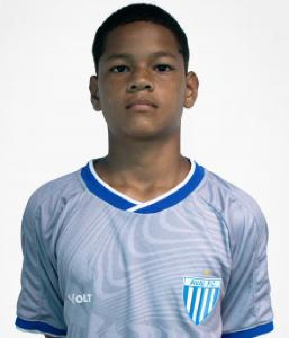 player img