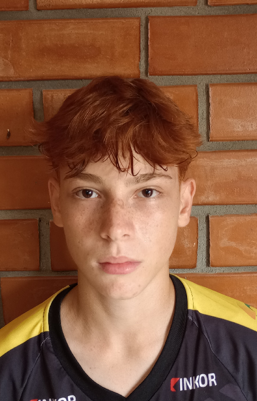 player img