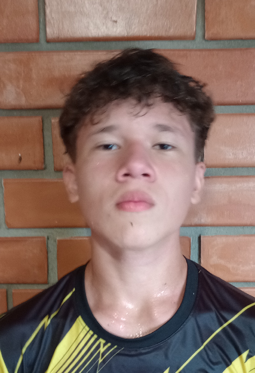 player img