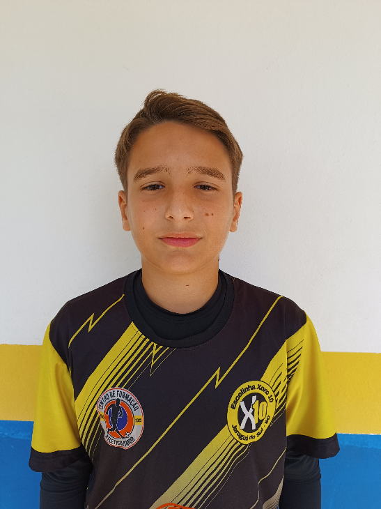 player img