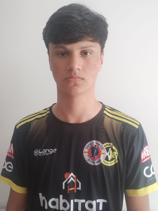 player img