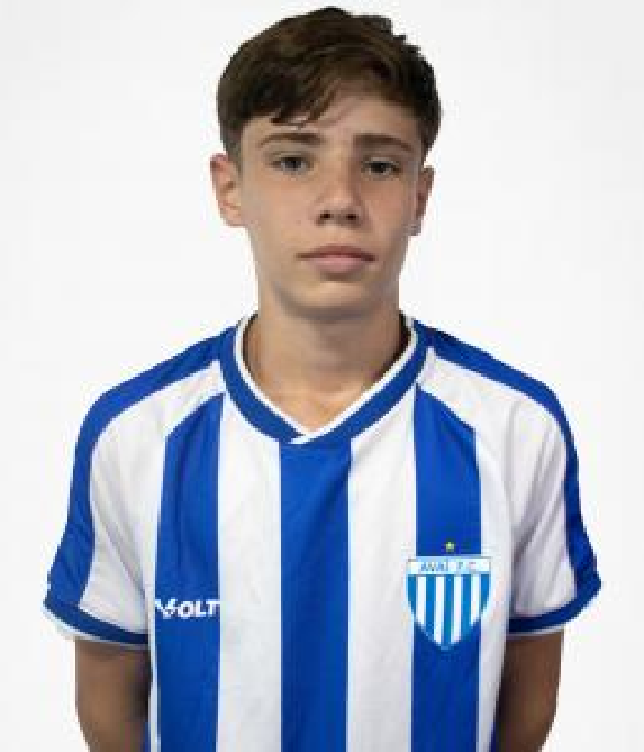 player img