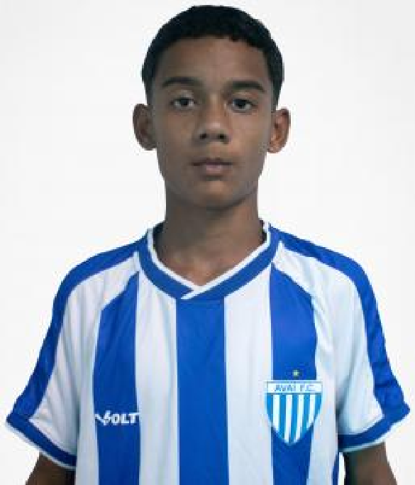 player img