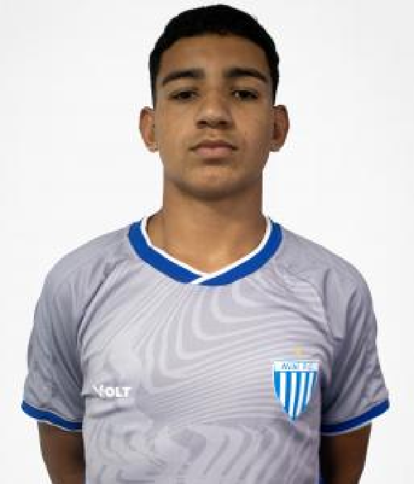 player img