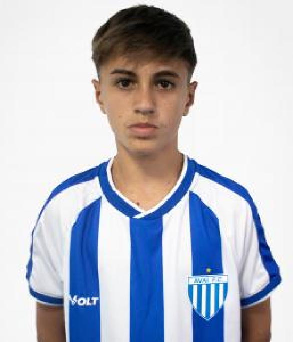 player img