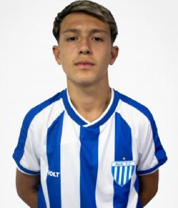 player img