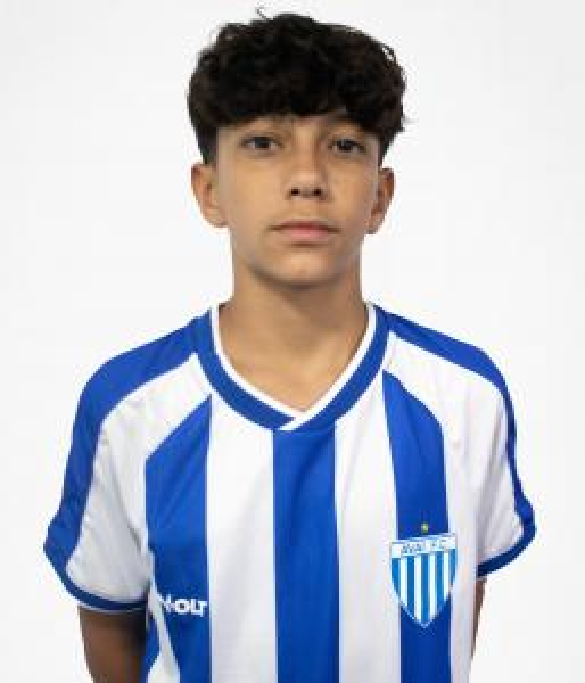 player img