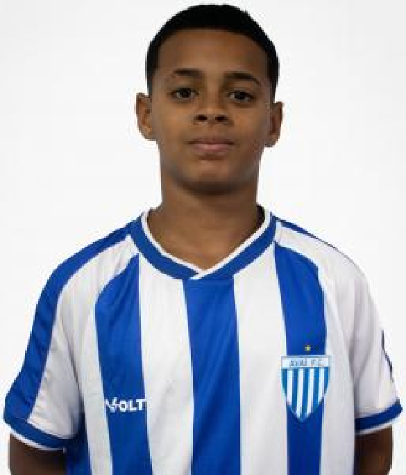 player img