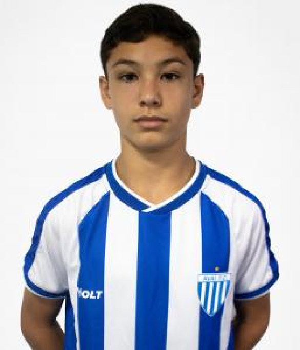 player img