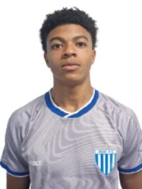player img