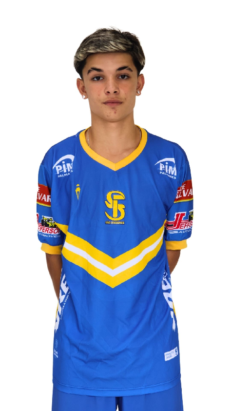 player img