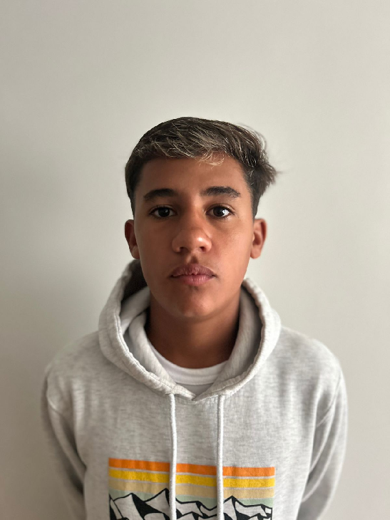 player img