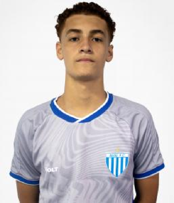 player img