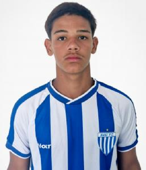 player img