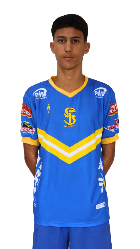 player img