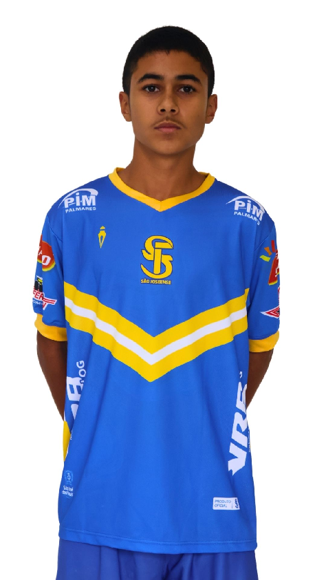 player img