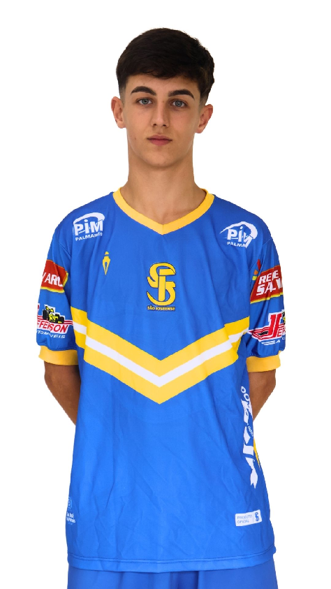player img