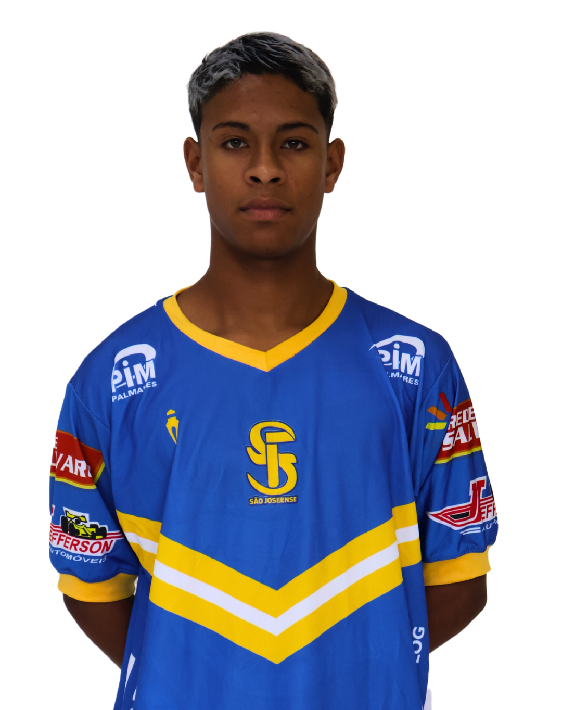 player img