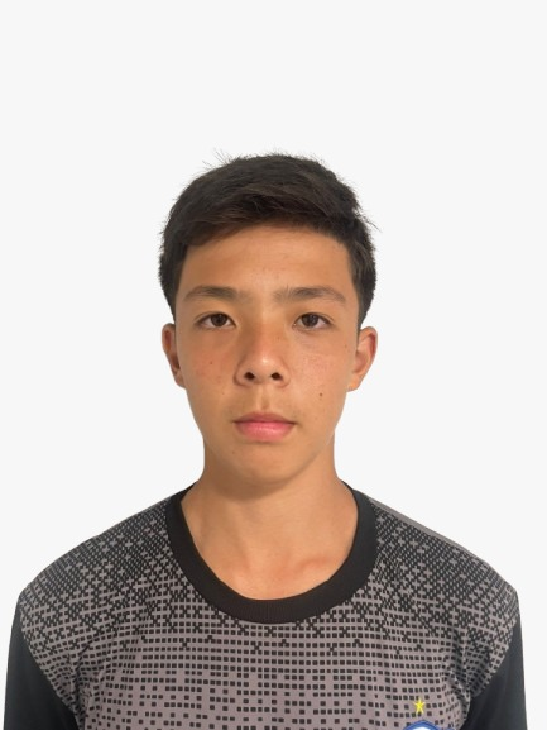 player img