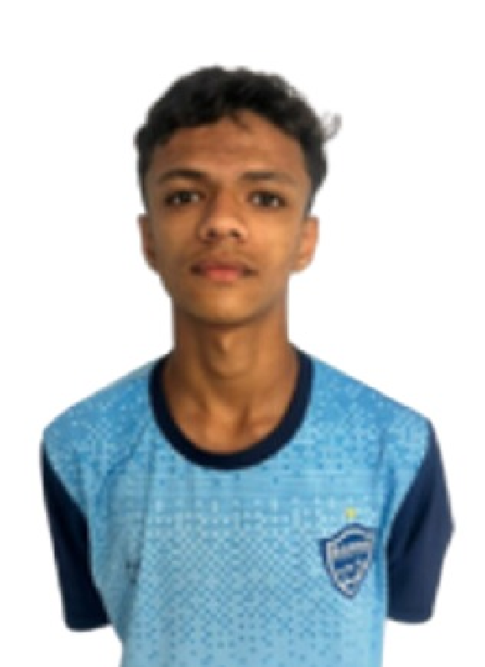 player img