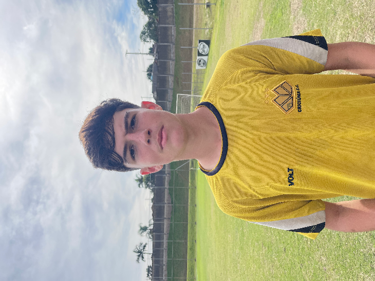 player img