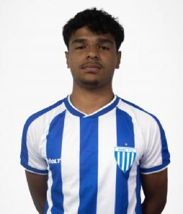 player img